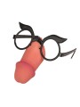 Gafas Divertidas con Pene