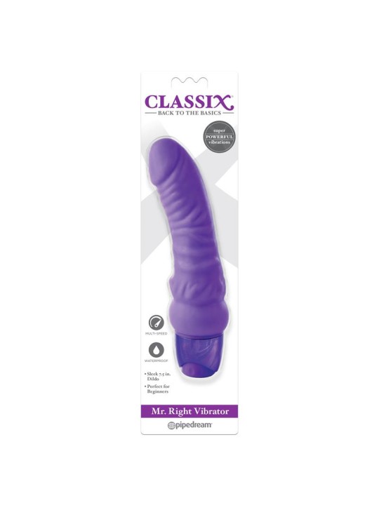 Vibrador Mr Right Purpura